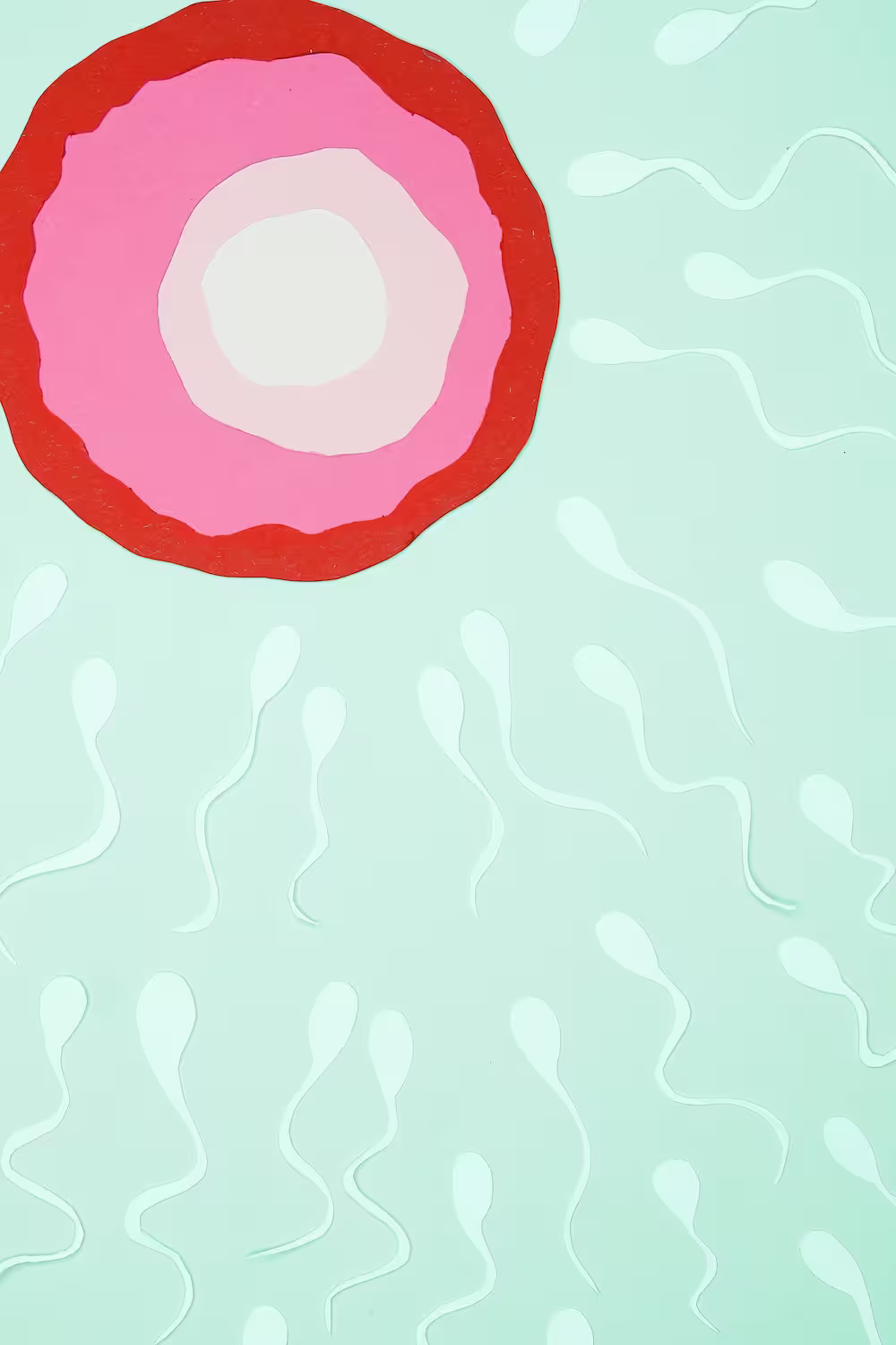 Private consultation for male fertility evaluation and reproductive health.